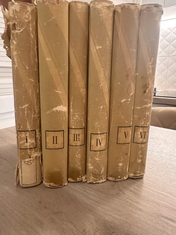 Raštai 1-6 tomai - Ieva Simonaitytė, knyga 5