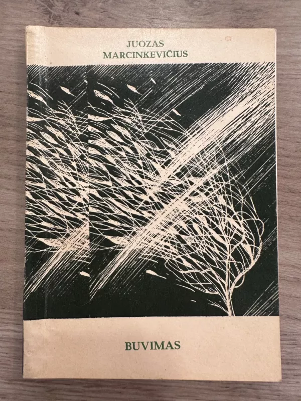 Buvimas - Juozas Marcinkevičius, knyga 2