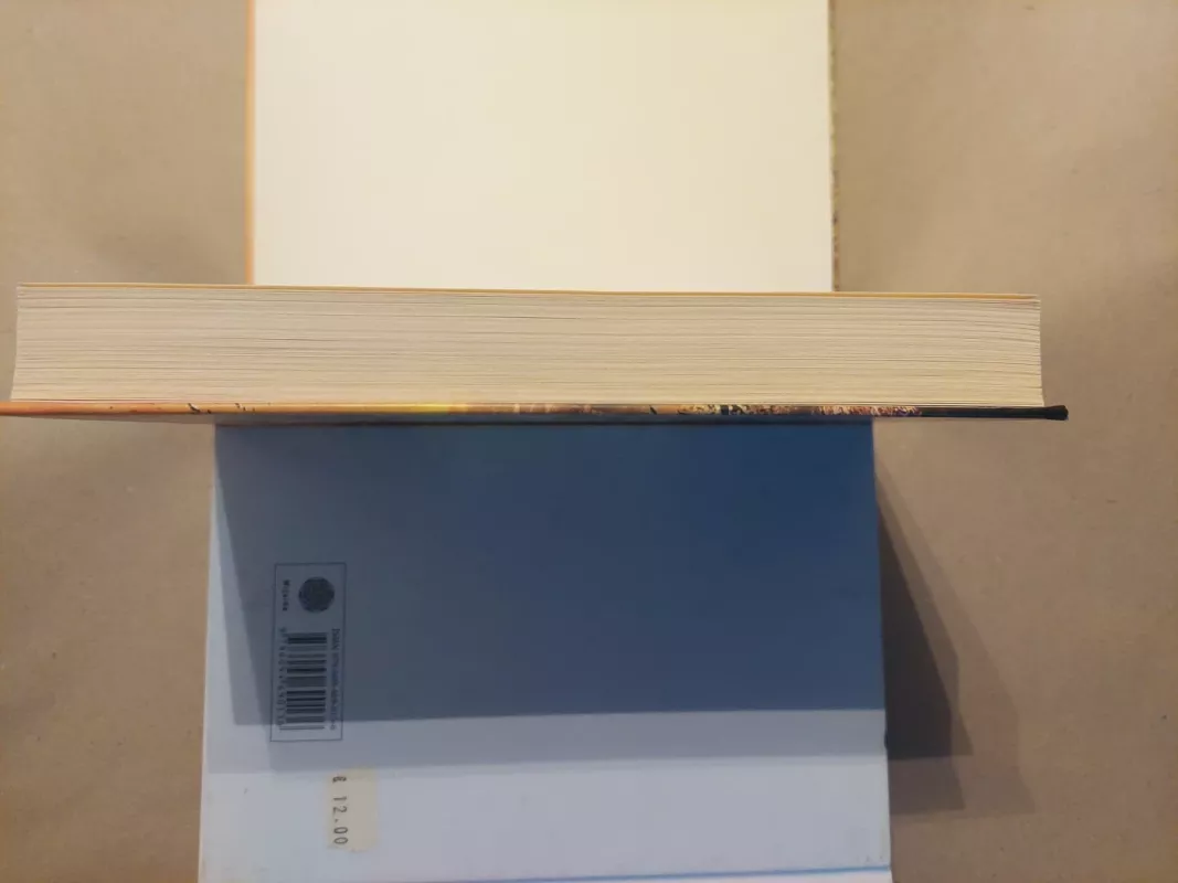 Šiukšlės - Andy Mulligan, knyga 5