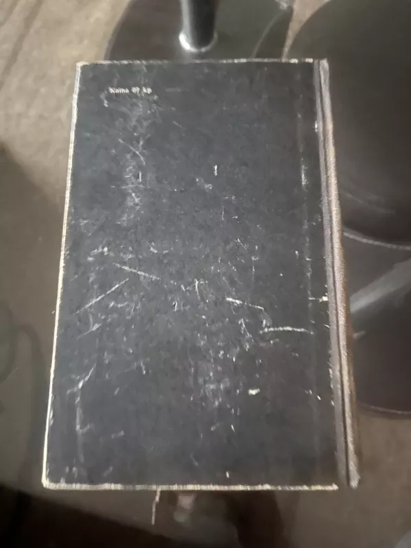 Sent Egziuperi - Marselis Mižo, knyga 4