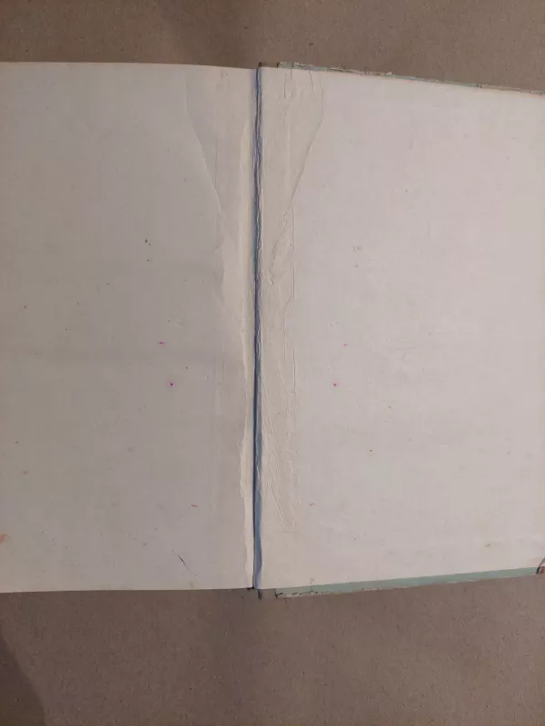 Jankis karaliaus Arturo dvare - Markas Tvenas, knyga 4