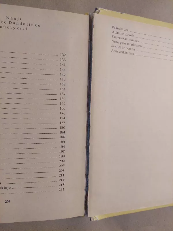 Danuko Dunduliuko nuotykiai - Vytautas Misevičius, knyga 4