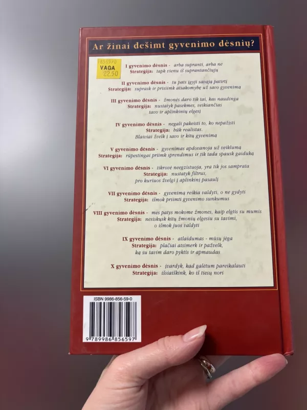 Gyvenimo strategija. Darykite kas sekasi, darykite kas svarbu. - Phillip C. McGraw, knyga 4