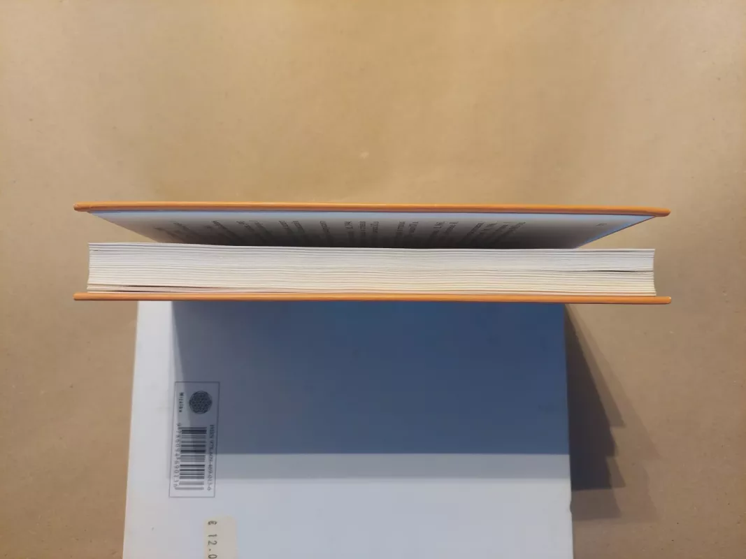 Rėdos knyga. Baltų kalendorinės šventės - Aleksandras Žarskus, knyga 4