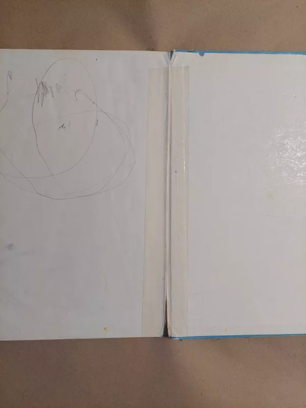 Žydras povas povinėja: eilėraščių rinktinė vaikams - Martynas Vainilaitis, knyga 4