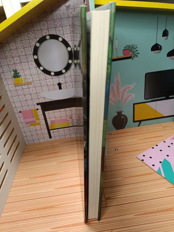 Reprodukcijų albumas - Augustinas Savickas, knyga 6