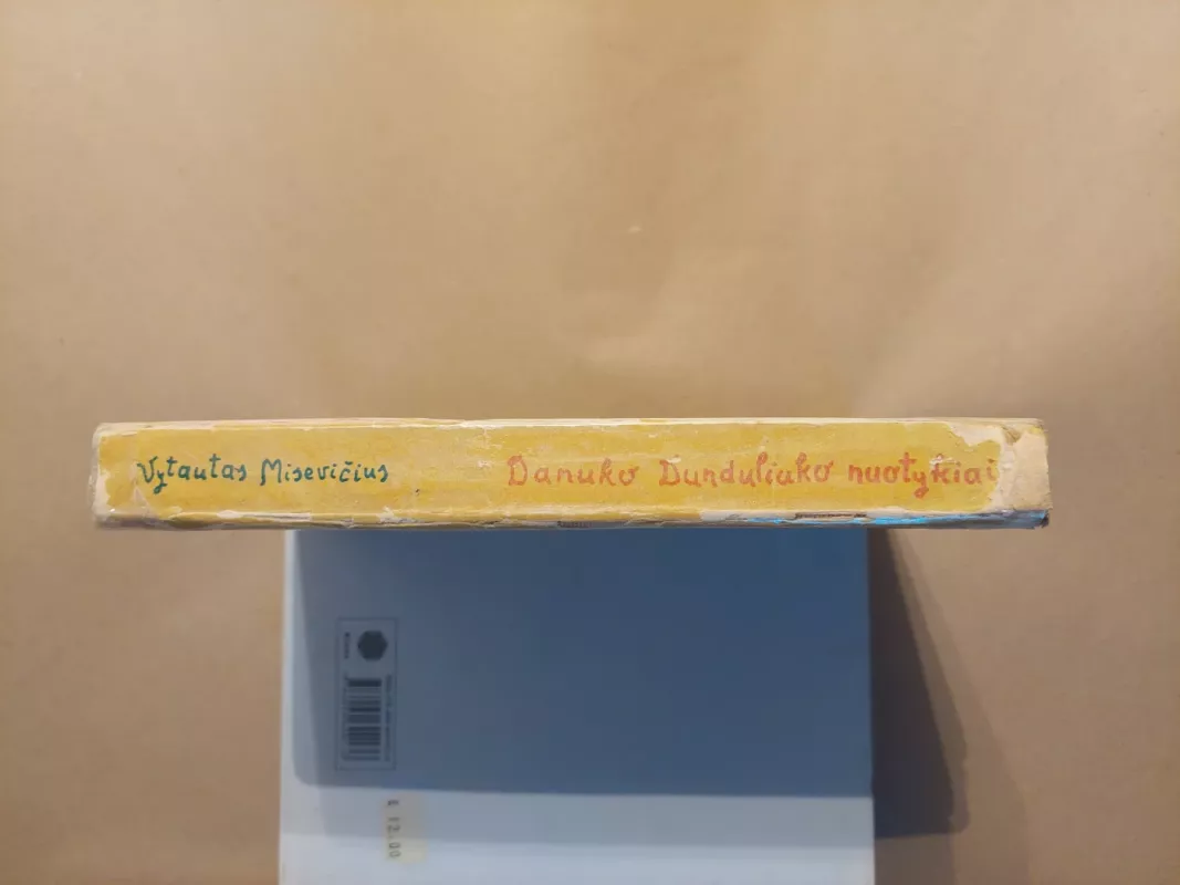 Danuko Dunduliuko nuotykiai - Vytautas Misevičius, knyga 3