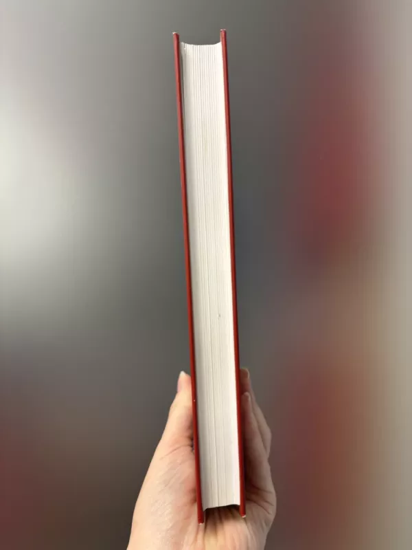 Gyvenimo strategija. Darykite kas sekasi, darykite kas svarbu. - Phillip C. McGraw, knyga 3