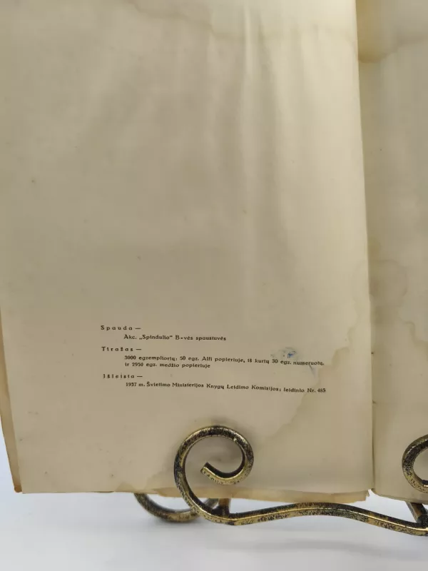 Rinktiniai raštai 1937m. - A. Vienuolis, knyga 4