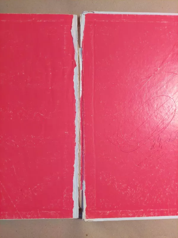 Sapnų taškuota sraigė - Violeta Palčinskaitė, knyga 4