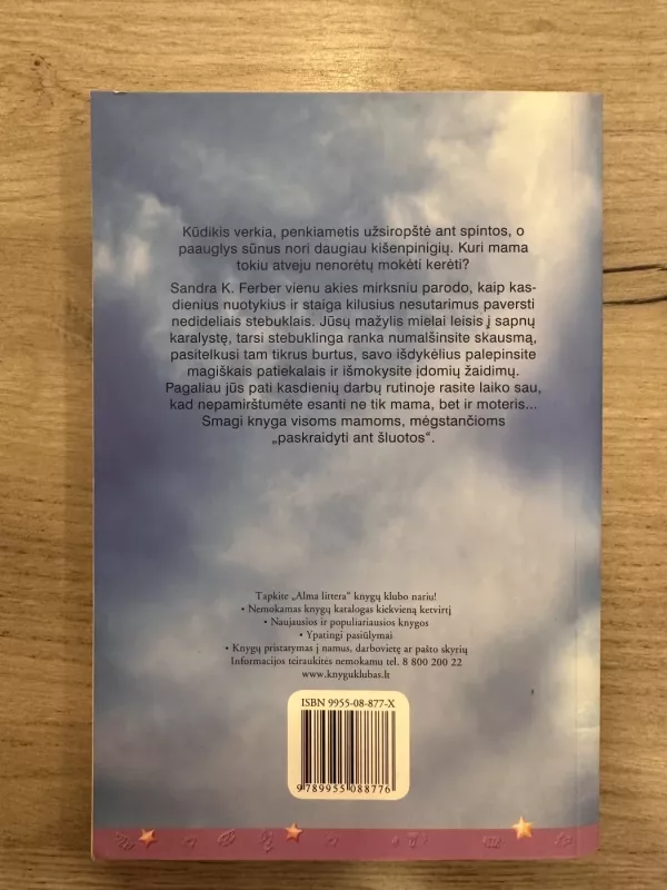 Raganavimo pamokos drąsioms mamoms - Sandra K. Ferber, knyga 4