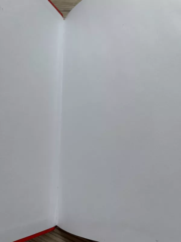 Neįmanomas nusikaltimas ir dieviška galia. Donaldas ir kiti - Walt Disney, knyga 4