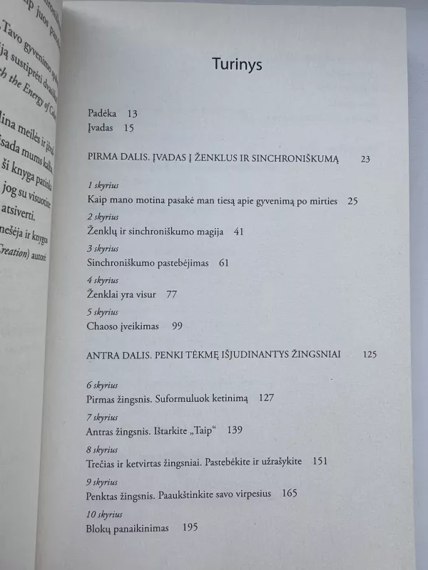 Visata jums kalba: pastebėkite ženklus ir sinchroniškumą – kasdien patirsite stebuklingų akimirkų - Tammy Mastroberte, knyga 4