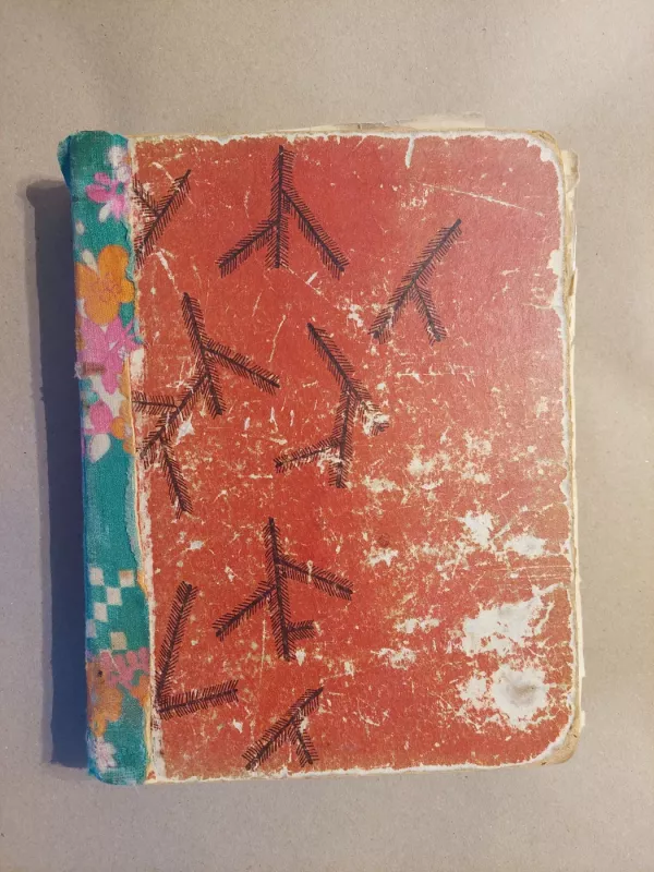 Broliai Grimai. Pasakos -  Broliai Grimai, knyga 2