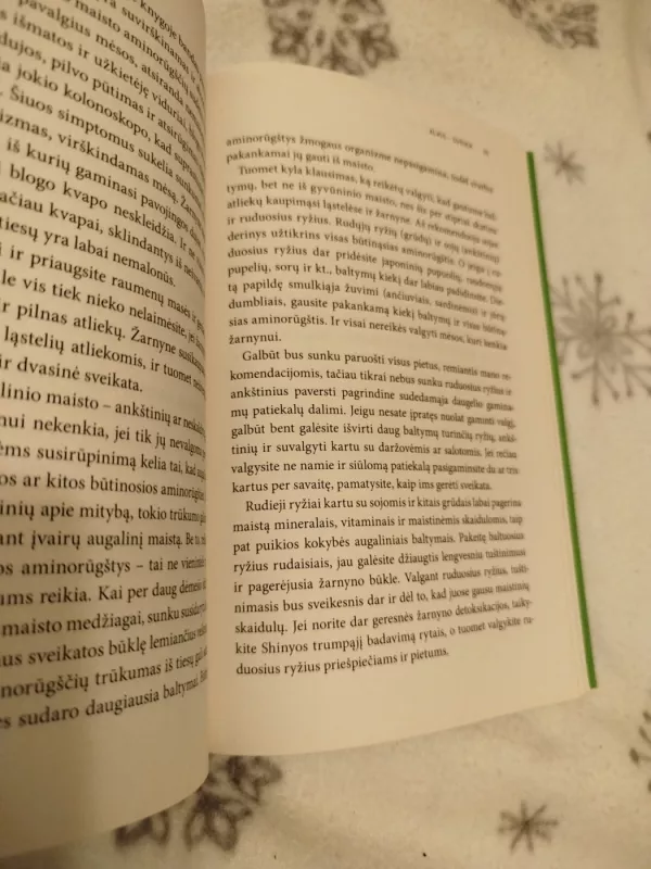 Jaunystės fermentas - Shinya Hiromi, knyga 4