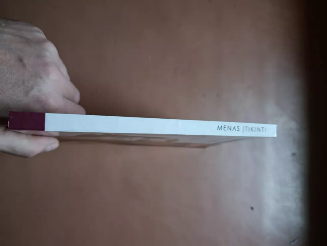 Menas įtikinti - Heinz Ryborz, knyga 3