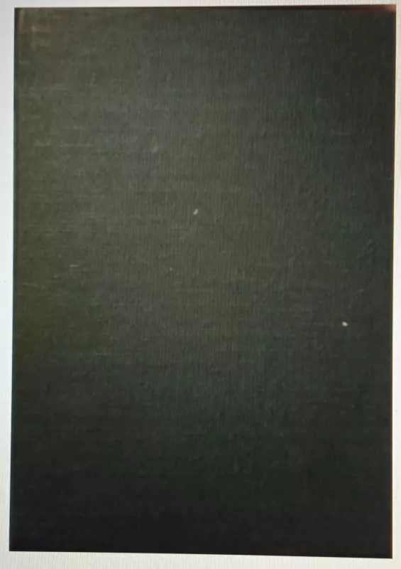 Kraujas ir pelenai - Justinas Marcinkevičius, knyga 2