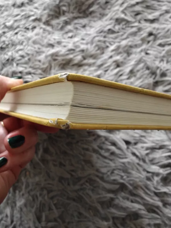 Šamaniškos Egipto misterijos - Nicki Scully, Linda Star Wolf, knyga 4