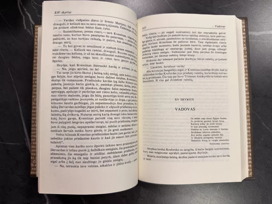 Kventinas Dervardas - Valteris Skotas, knyga 5