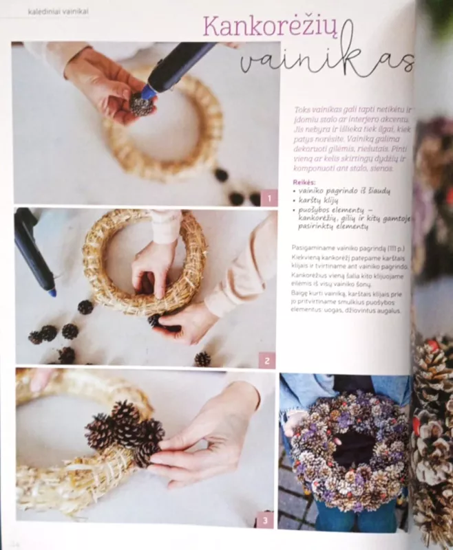 Beatos virtuvė. Kalėdų pagalbininkas, 2016m. - Beata Nicholson, knyga 6