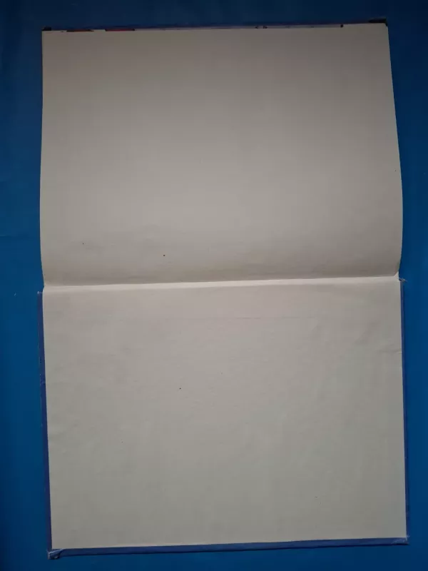 Istorija tik vaikams - Rolandas Čečkauskas, knyga 6