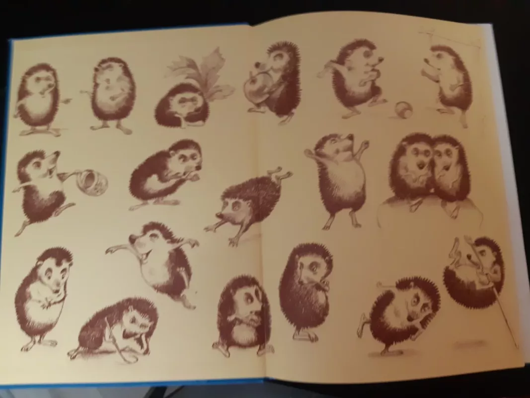 Ežiukai devyžiukai - Martynas Vainilaitis, knyga 3