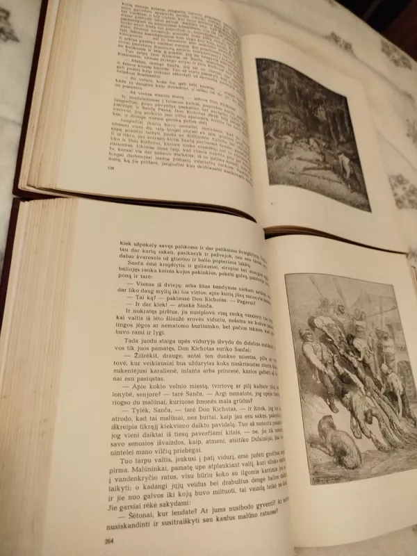 Don Kichotas (I-II dalys) - Migelis de Servatesas, knyga 4