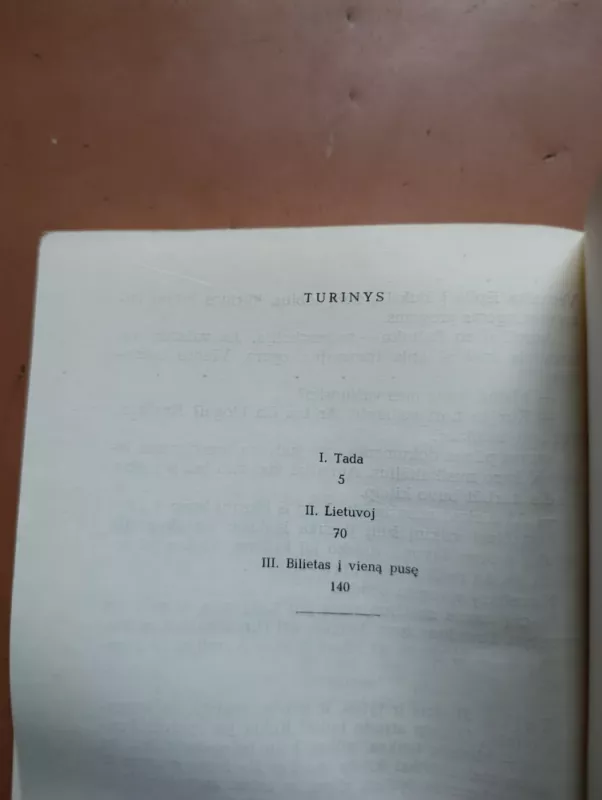 Traukinių daugiau nebus - Ugnė Karvelis, knyga 4