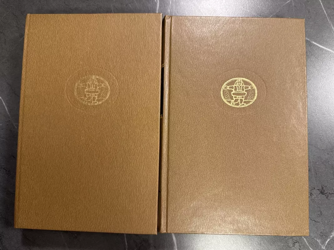 Tykusis Donas 2 tomai - Michailas Šolochovas, knyga 3