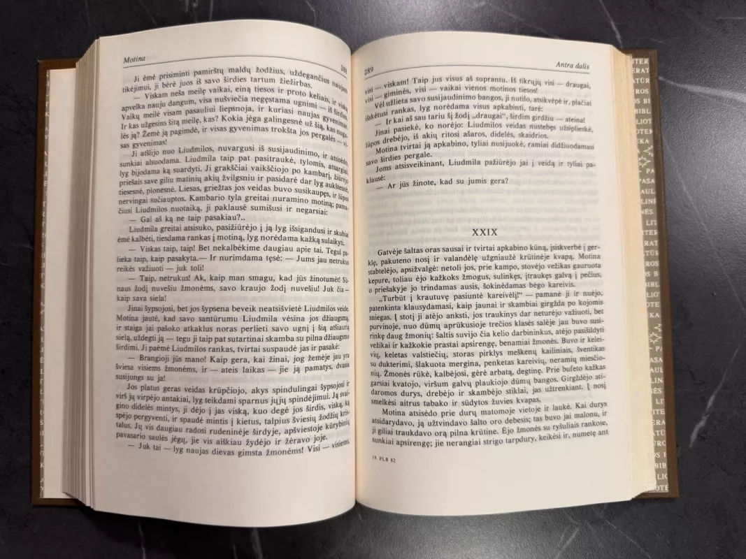 Motina artamonovai - Maksimas Gorkis, knyga 6