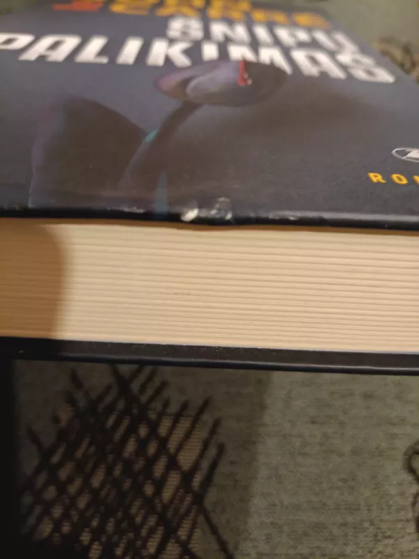 Šnipų palikimas - Autorių Kolektyvas, knyga 4