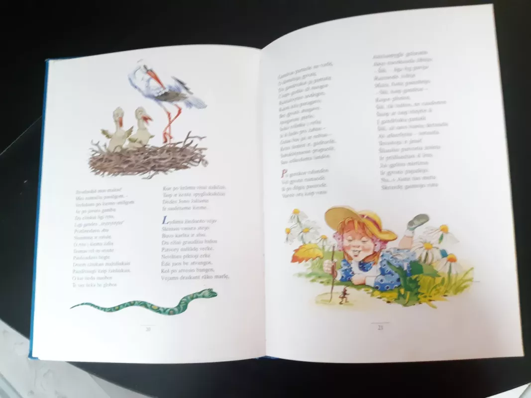 Ežiukai devyžiukai - Martynas Vainilaitis, knyga 6