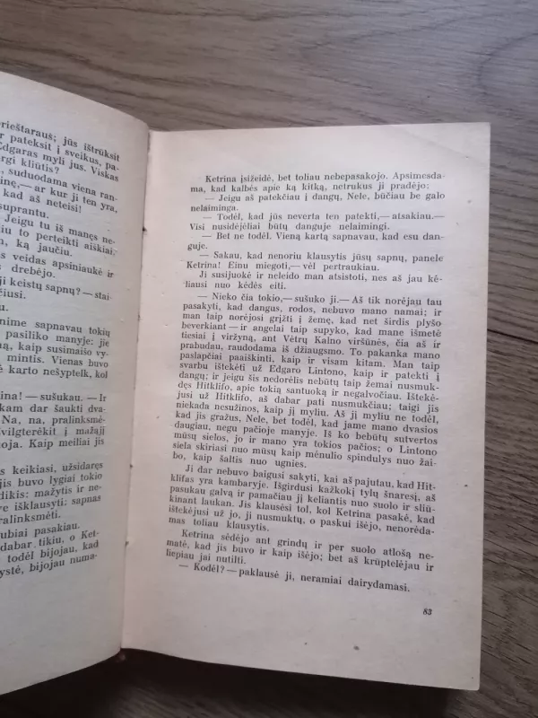 Vėtrų kalnas - Bronte Emily, knyga 4