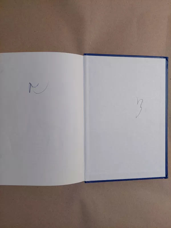 Nemokšos Marko dienoraštis: nuo nevykėlio iki kietuolio - Jocko Willink, knyga 4