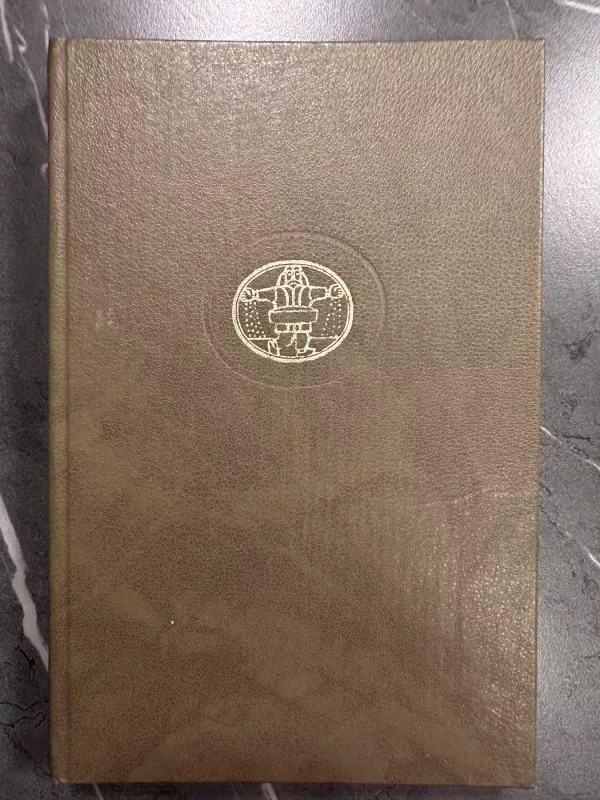 Raudona ir juoda - Stendalis, knyga 2