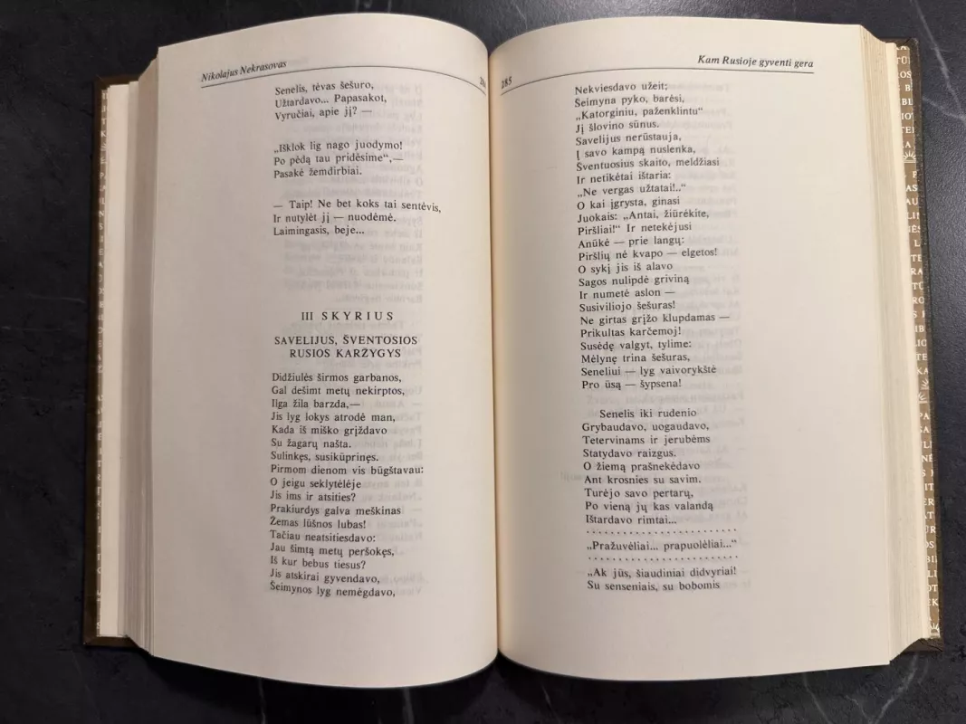 Eilėraščiai. Poemos. Vieno miesto istorija - Nikolajus Nekrasovas, Michailas Saltykovas-Ščedrinas, knyga 6