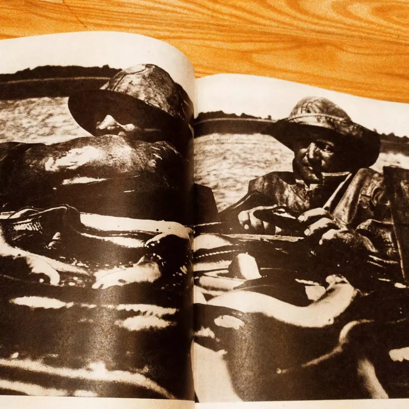 Rusnė - Henrikas Liandzbergas, knyga 3