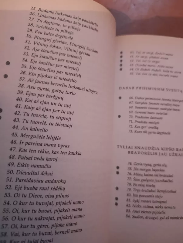 Girtuoklių dainos. Arielkėle tu pilkoji - Jūratė Gudaitė, knyga 6