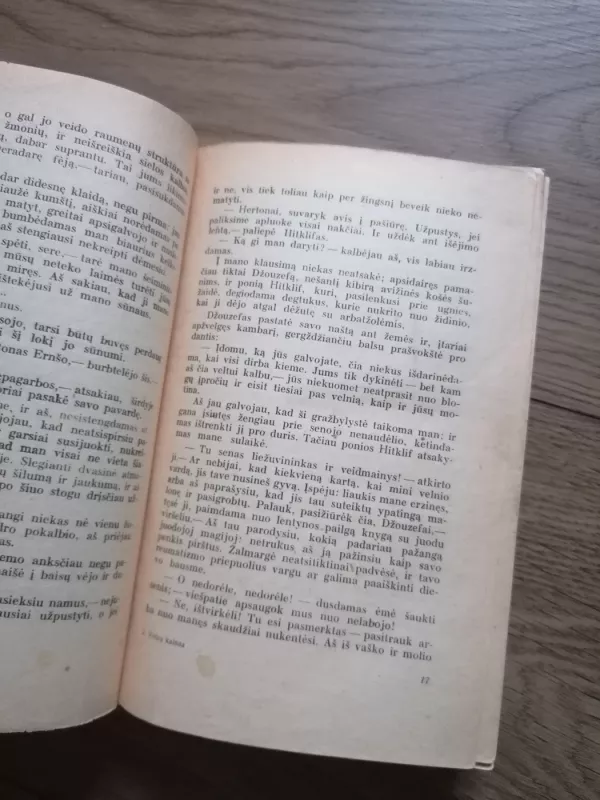 Vėtrų kalnas - Bronte Emily, knyga 5