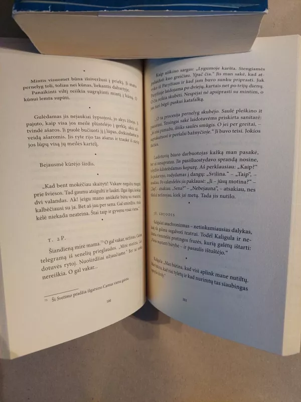 Užrašų knygelės I (1935 - 1942) - Albert Camus, knyga 4