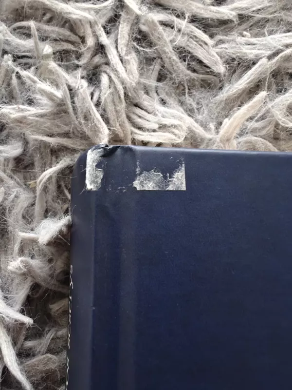 Tikros ir netikros seserys - Irena Buivydaitė, knyga 3