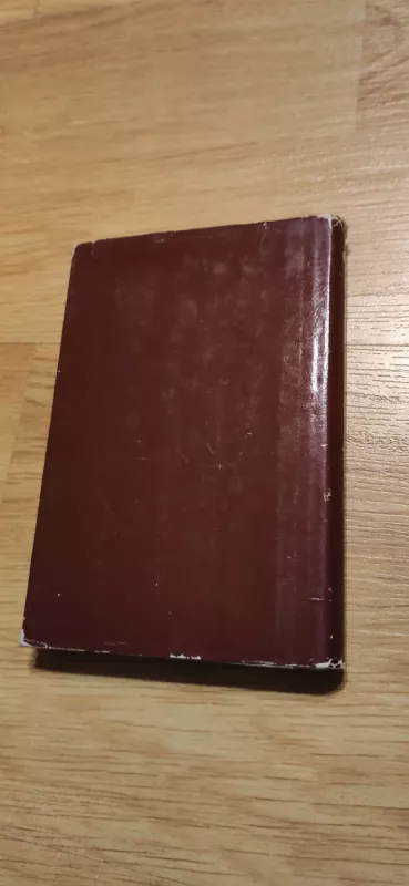 Didysis Getsbis - Francis Scott Fitzgerald, knyga 3