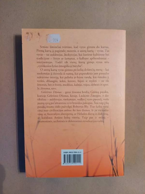 Geležinis Džonas - Robert Bry, knyga 3