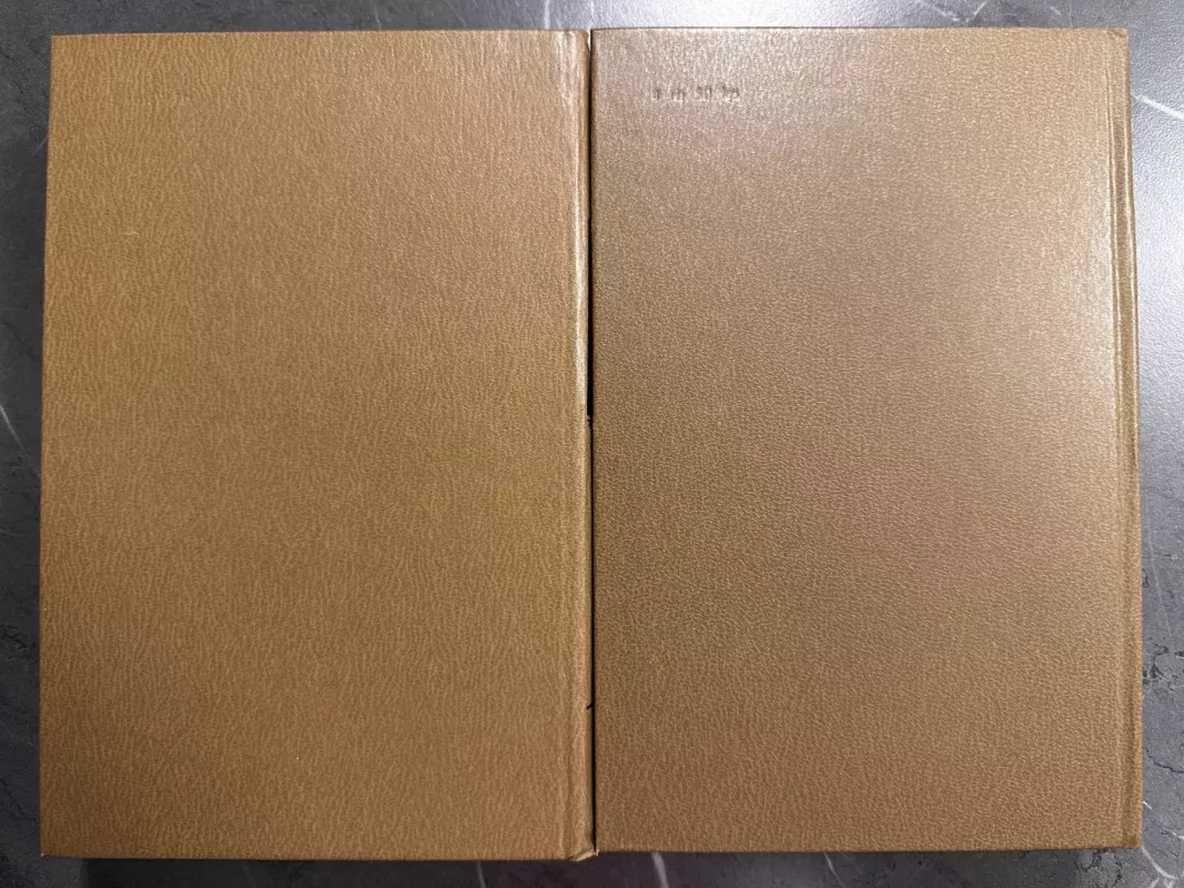 Tykusis Donas 2 tomai - Michailas Šolochovas, knyga 6