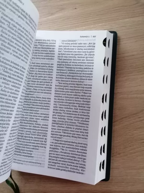 Biblija šventasis raštas - Naujasis testamentas (GBV) - Autorių Kolektyvas, knyga 6