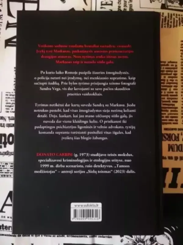 Tamsos medžiotojas, Sielų teismas, Šešėlių mokytojas - Donato Carrisi, knyga 4