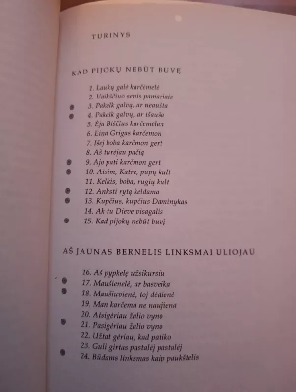 Girtuoklių dainos. Arielkėle tu pilkoji - Jūratė Gudaitė, knyga 5