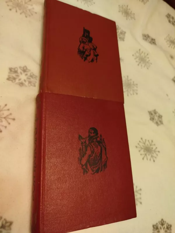 Don Kichotas (I-II dalys) - Migelis de Servatesas, knyga 2