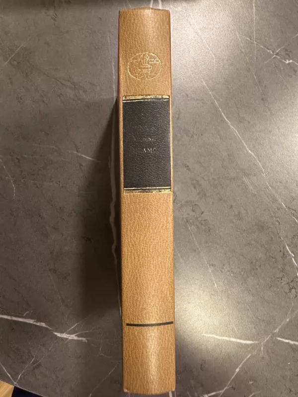 XX a. Vakarų dramos - Autorių Kolektyvas, knyga 2