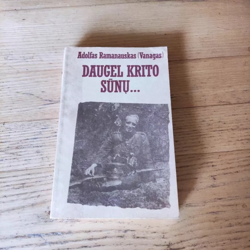 Daugel krito sūnų... - Adolfas Ramanauskas-Vanagas, knyga 2